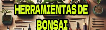 Herramientas Esenciales para el Cuidado del Bonsái 🌿