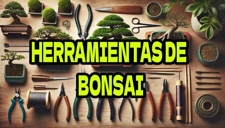 Herramientas Esenciales para el Cuidado del Bonsái 🌿