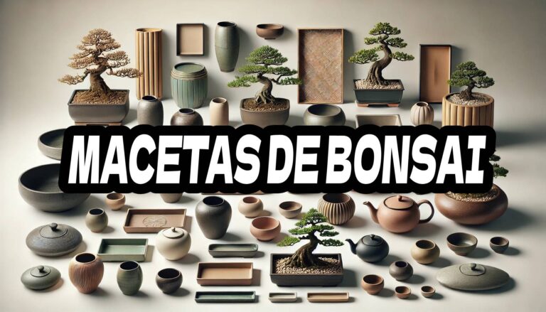 MACETAS DE BONSAI