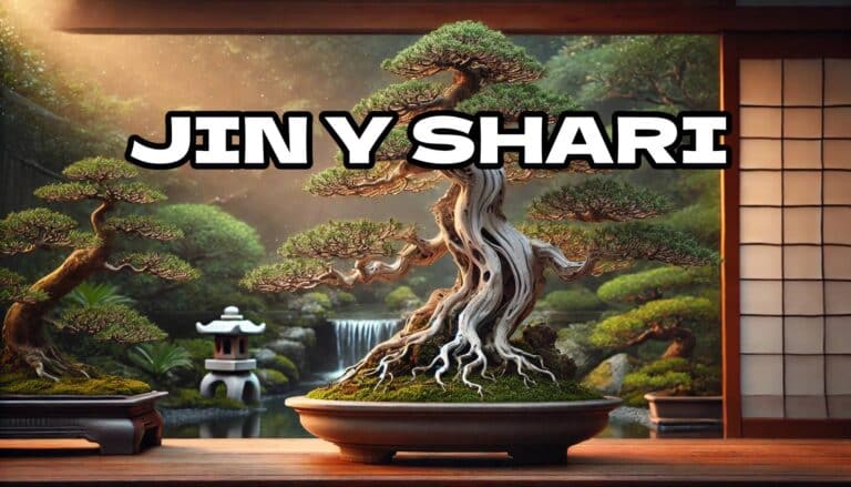 jin y shari madera muerta en bonsai