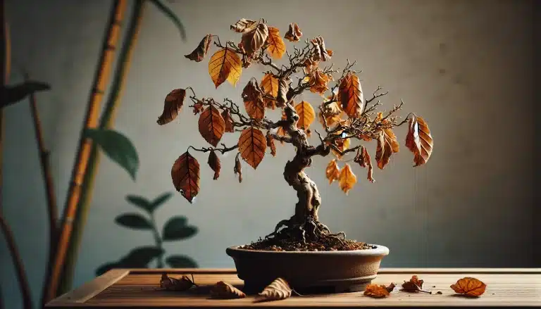 a mi bonsai se le caen las hojas